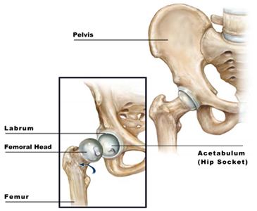 x-ray to help arthroscope position