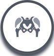 About gluteus medius repairs